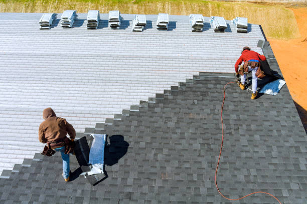 Best Roof Moss and Algae Removal  in Coral Hills, MD