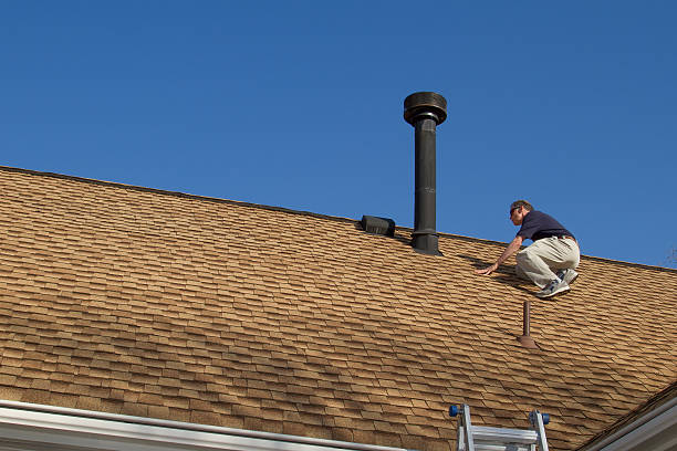 Best Skylight Installation and Repair  in Coral Hills, MD